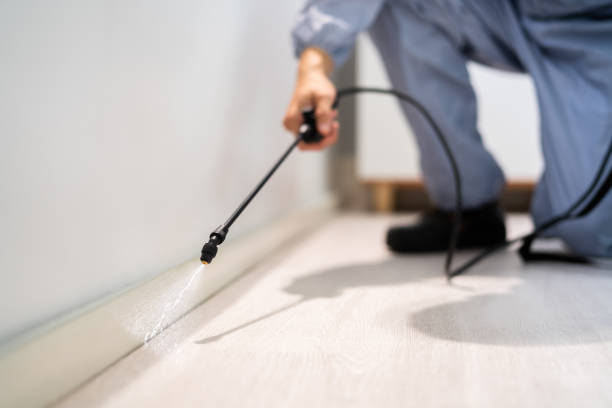 Licensed Pest Control service in Summerfield, NC - Show Me Pest Control